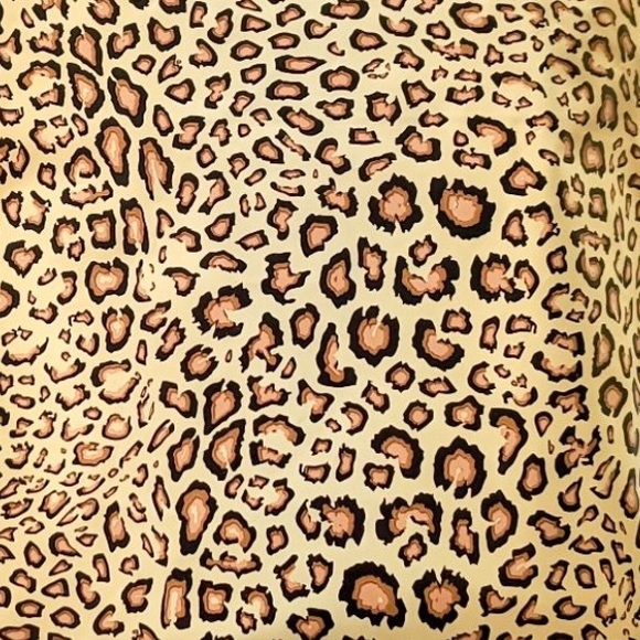 25 10X13 Leopard Poly Mailers PRICE IS FIRM - Picture 4 of 6